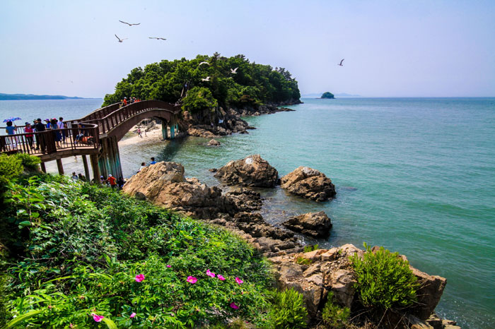 The Haesol-gil Pathways of Daebudo Island are in Gyeonggi-do. (photo courtesy of the Korean Trails Culture Foundation)