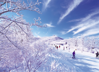 Winter Sports
